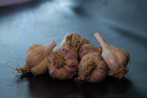 Read more about the article Garlic Gathering Theme to the Farmers Market