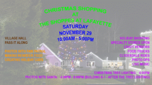 Read more about the article CHRISTMAS VILLAGE